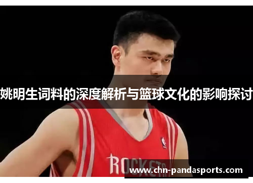 姚明生词料的深度解析与篮球文化的影响探讨